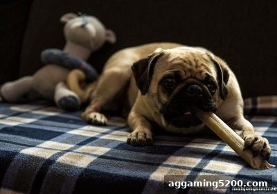 双色球签到积分高效累积与兑换指南：像玩转“麻将胡了模拟器在线试玩”一样掌握策略