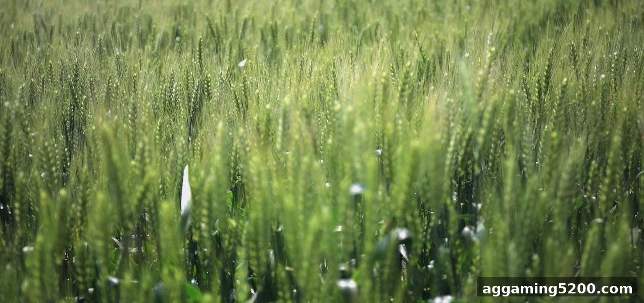 麻将胡了模拟器在线试玩：苹果端代金券签到与使用全攻略